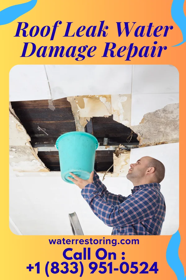 Roof Leak Water Damage Repair in Hecla, SD